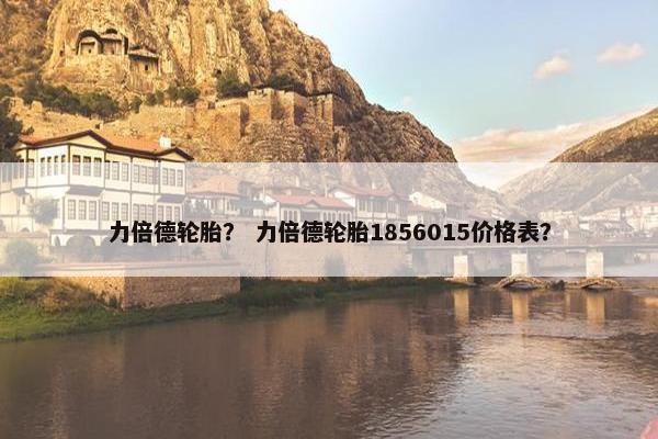 力倍德轮胎？ 力倍德轮胎1856015价格表？