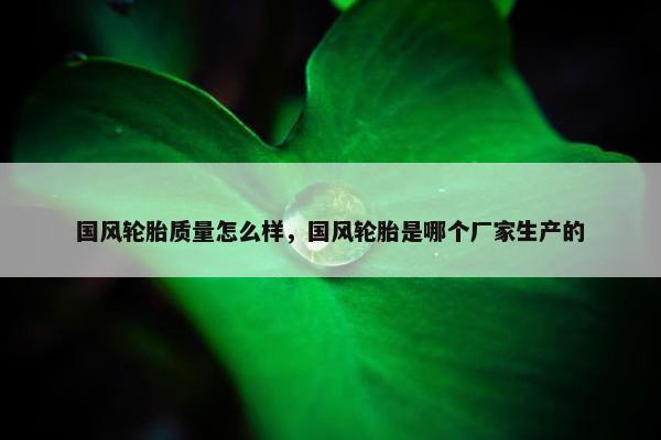 国风轮胎质量怎么样，国风轮胎是哪个厂家生产的